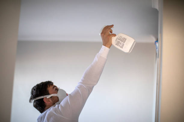 Best Mold Remediation  in Hildebran, NC