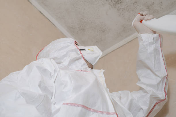 Best Best Mold Removal Companies  in Hildebran, NC